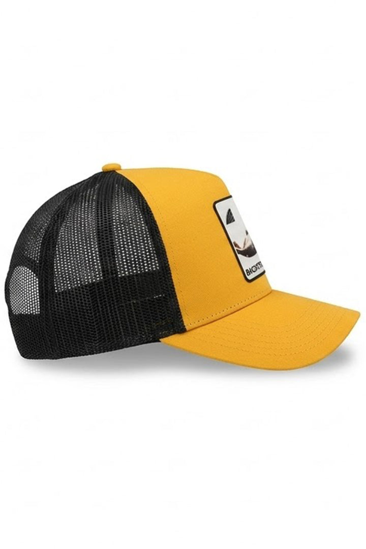 CAPPELLINO BACKSTROKE