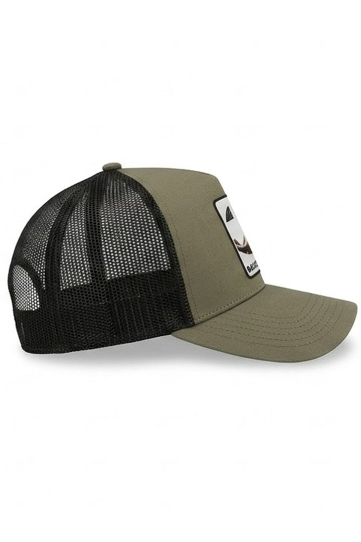 CAPPELLINO BACKSTROKE