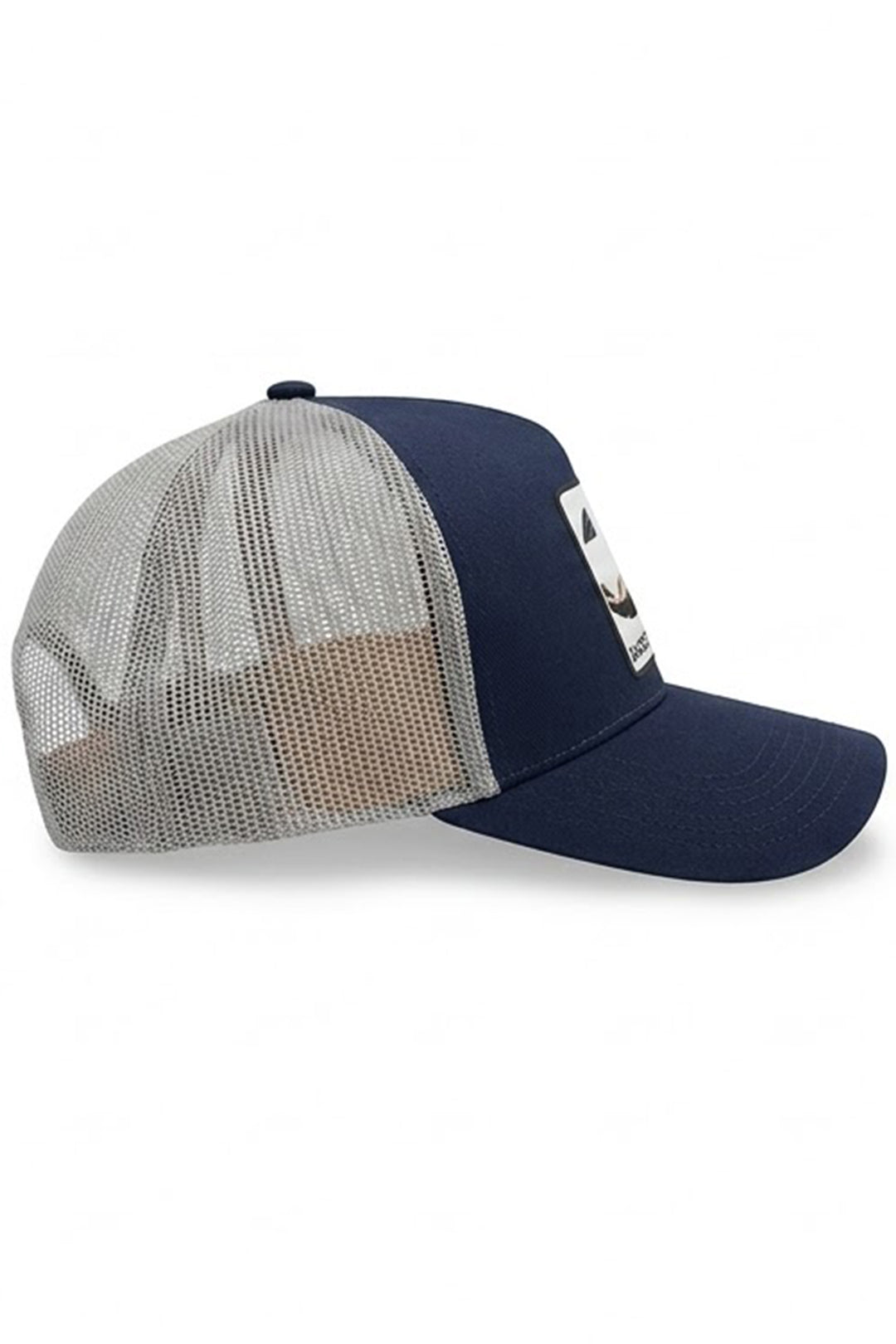 CAPPELLINO BACKSTROKE