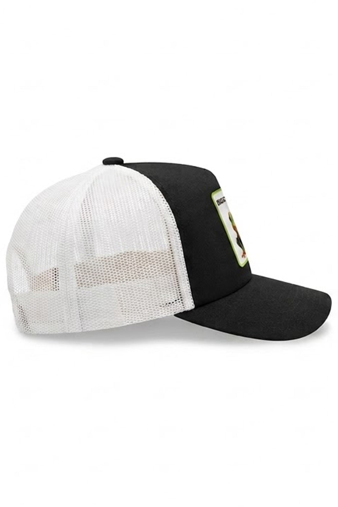 CAPPELLINO BREASTSTROKE