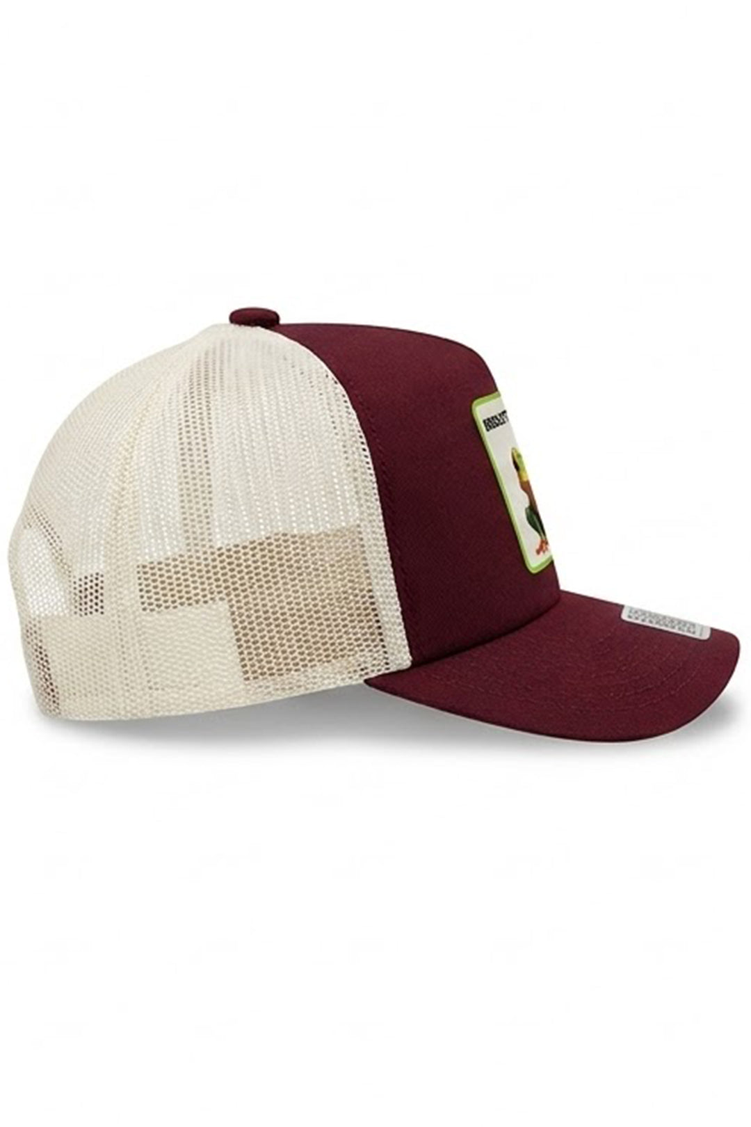 CAPPELLINO BREASTSTROKE