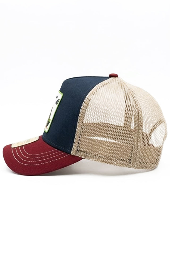 CAPPELLINO BREASTSTROKE